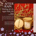 Nến Thơm AFTER RAIN 100ml