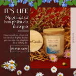 Nến Thơm IT'S LIFE 60ml hũ đất nung - hương biển cả xanh mát, giúp thư giãn, hỗ trợ giấc ngủ 