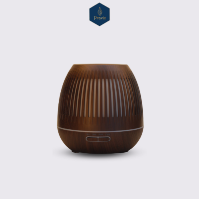 Máy khuếch tán Lồng Chim 550ml